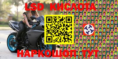 PSILOCYBIN Камышлов