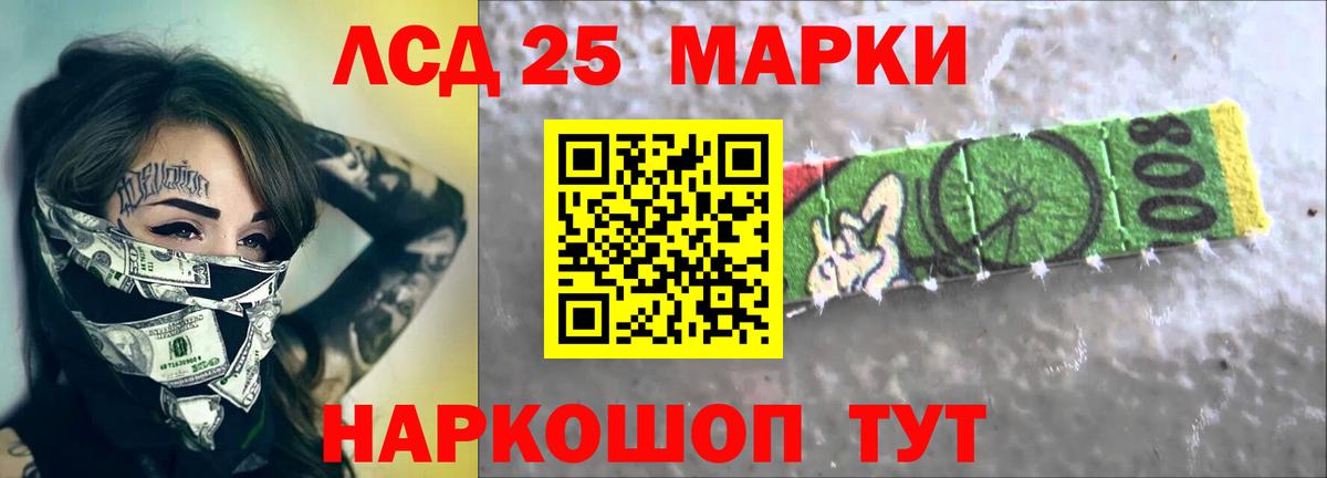 Галлюциногенные грибы Кузнецк