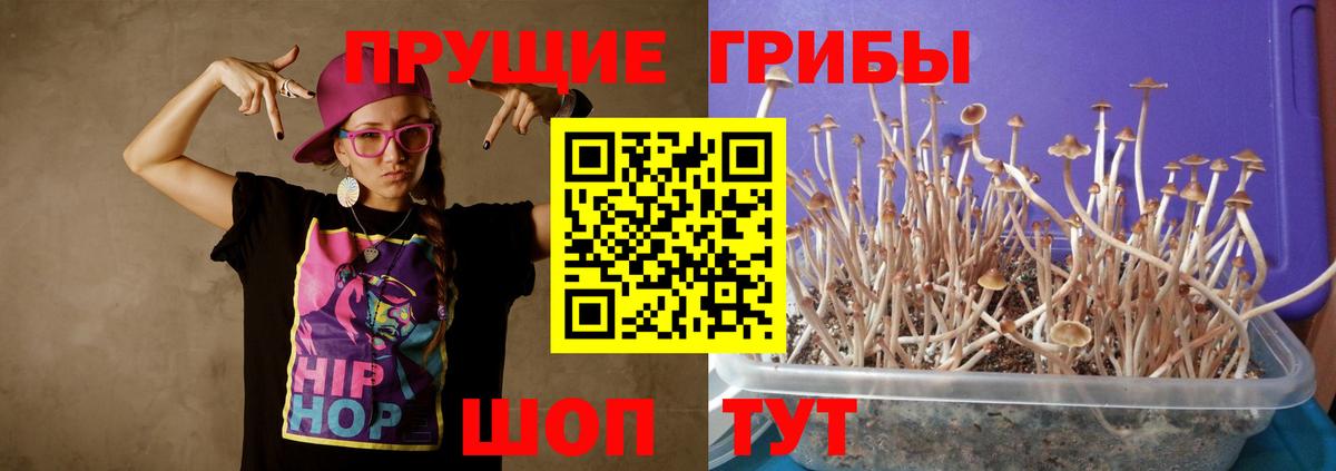 закладки  Галлюциногенные грибы Psilocybe  Вход с VPN  Кузнецк 