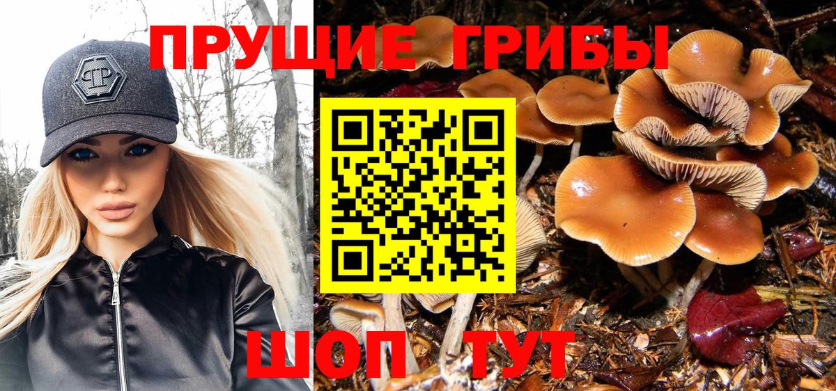 Галлюциногенные грибы ЛСД Кузнецк